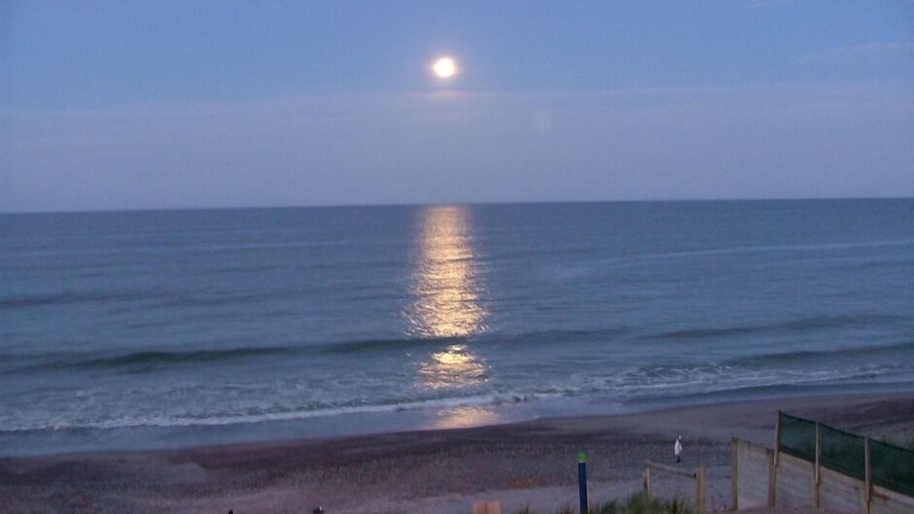 Photo of Others in Pukehina