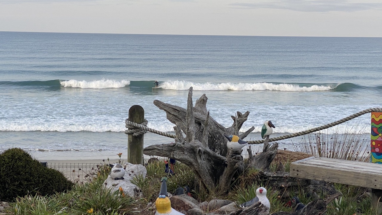 Photo of Others in Pukehina