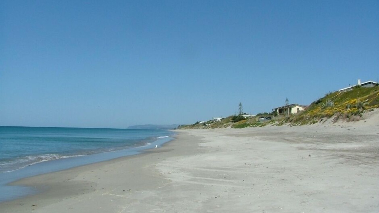 Photo of Others in Pukehina