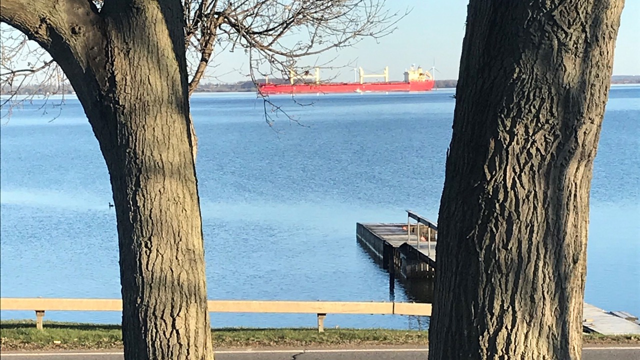 Photo of Outdoor in Cape Vincent