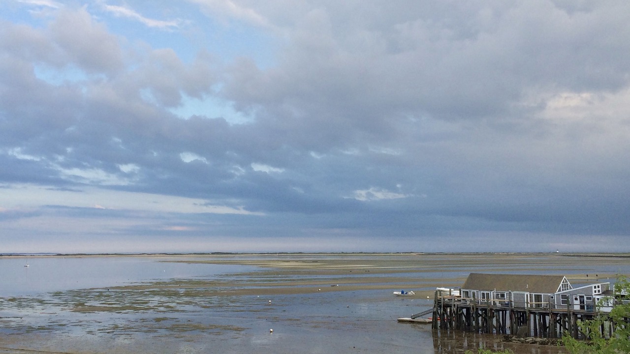 Photo of Others in Provincetown