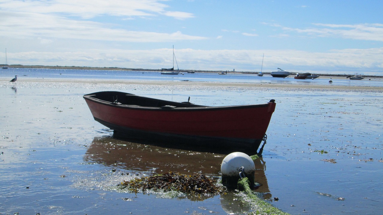 Photo of Others in Provincetown