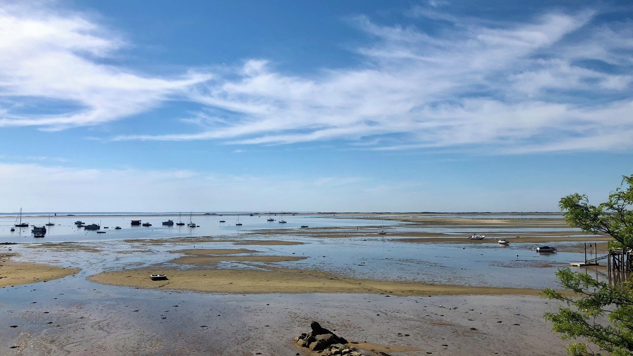 Photo of Others in Provincetown