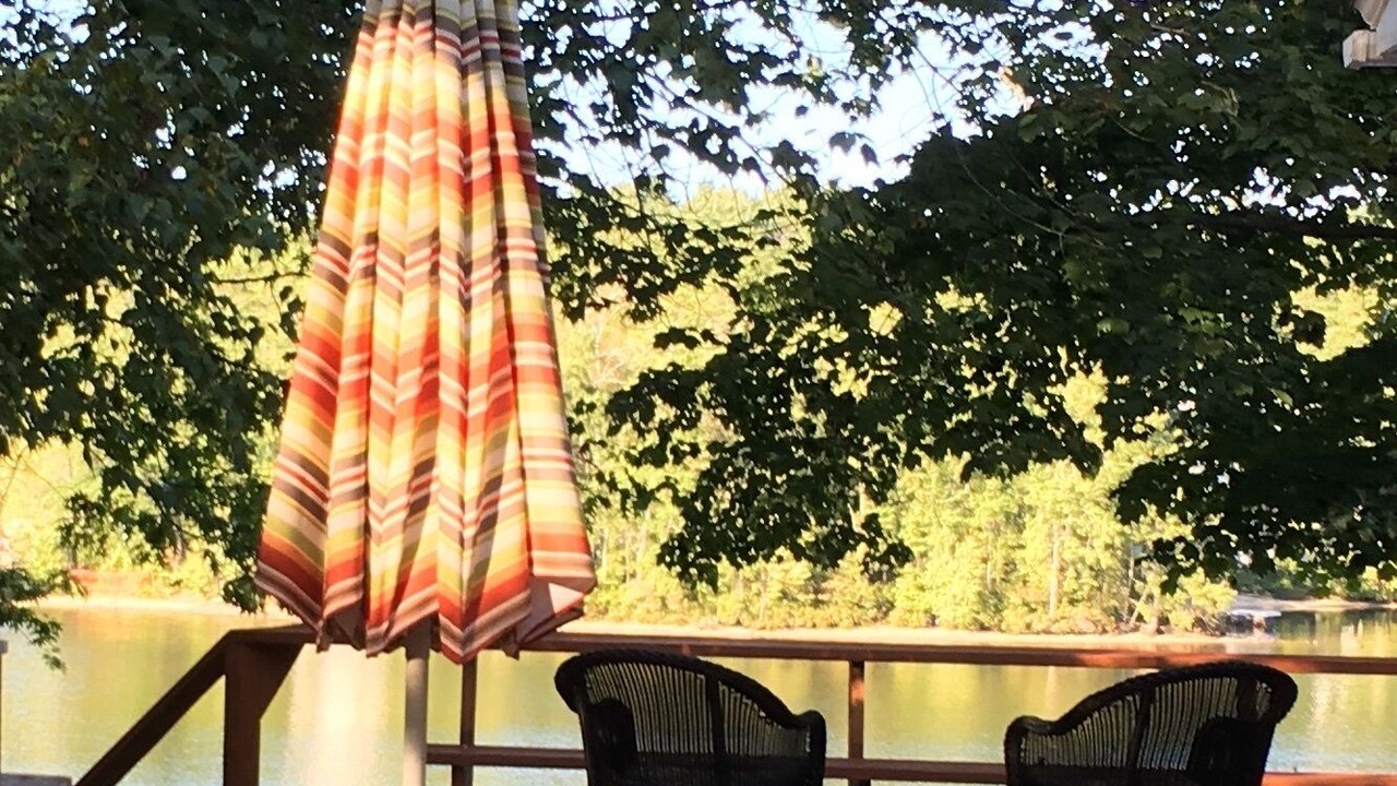 Photo of Others in The Bays