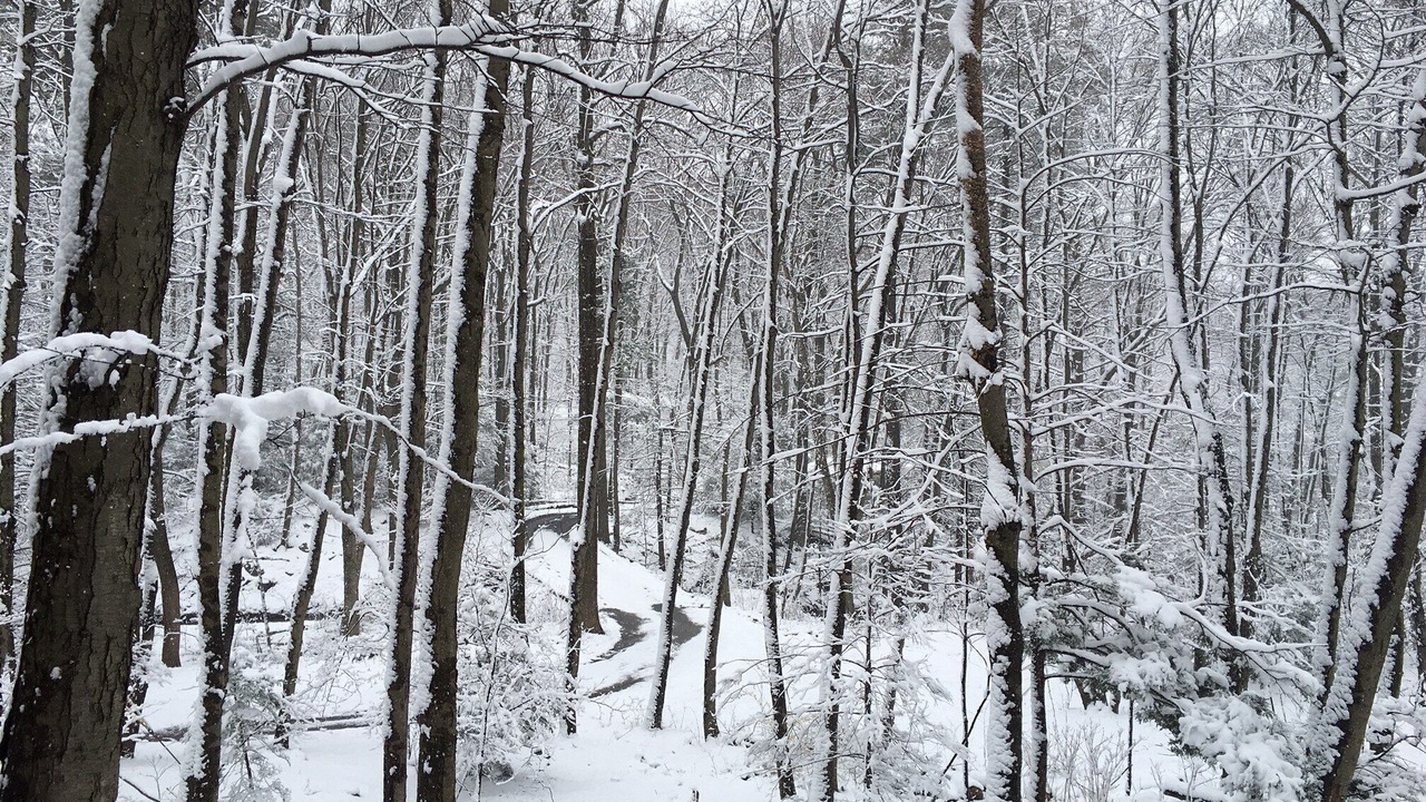 Photo of Outdoor in Rehrersburg