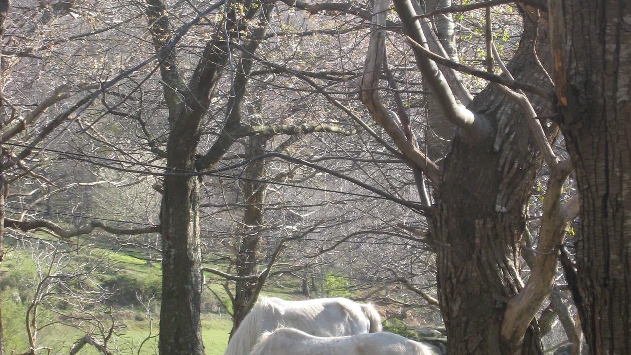 Photo of Outdoor in Las Illas