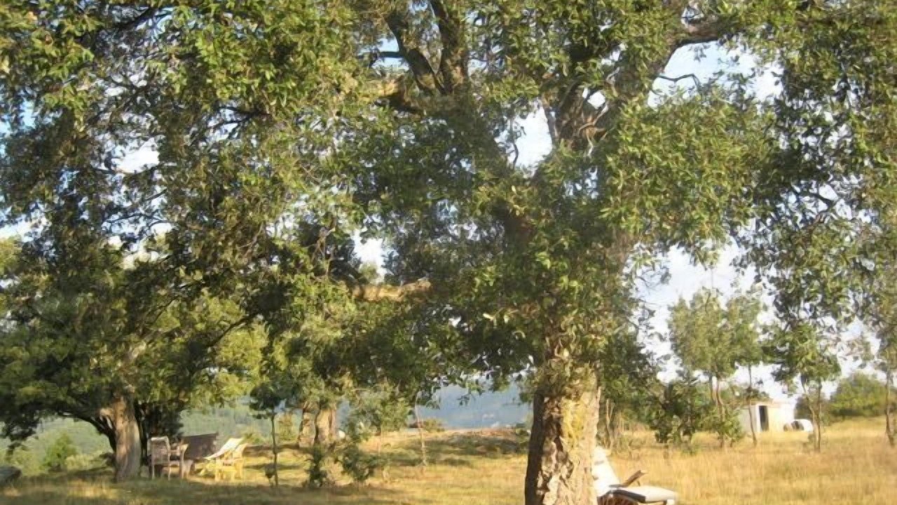 Photo of Outdoor in Las Illas