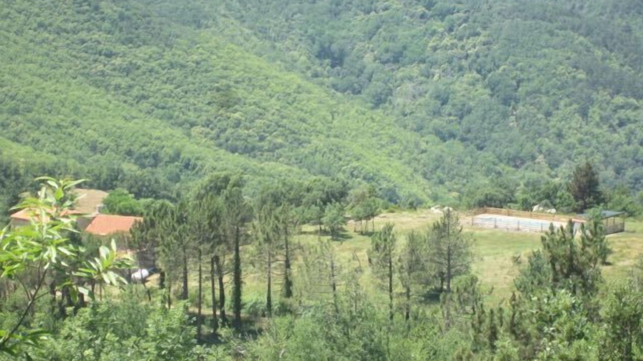 Photo of Outdoor in Las Illas