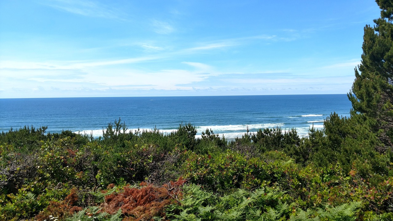 Photo of Others in South Beach