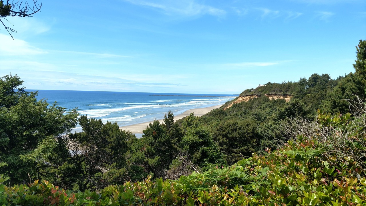 Photo of Others in South Beach