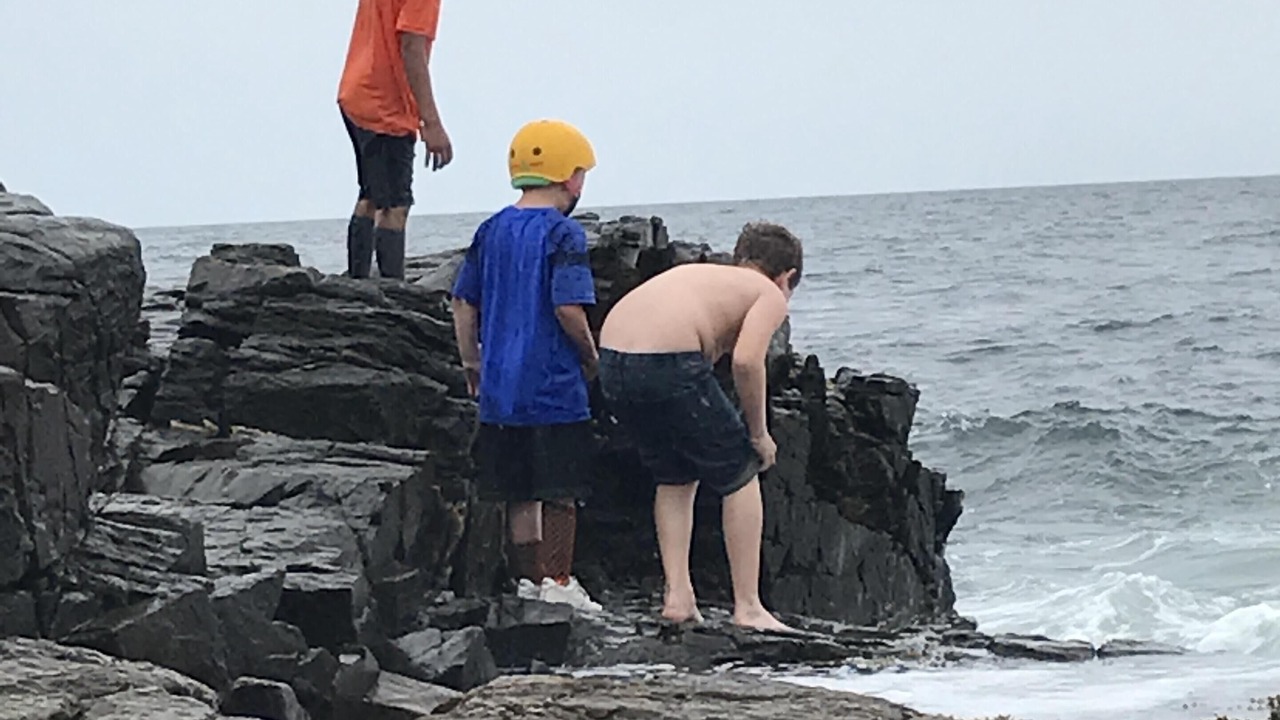 Photo of Others in Peaks Island