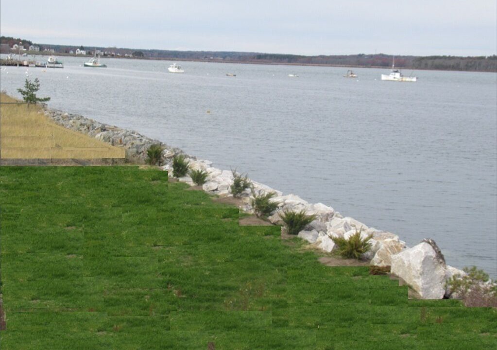 Photo of Others in Scarborough