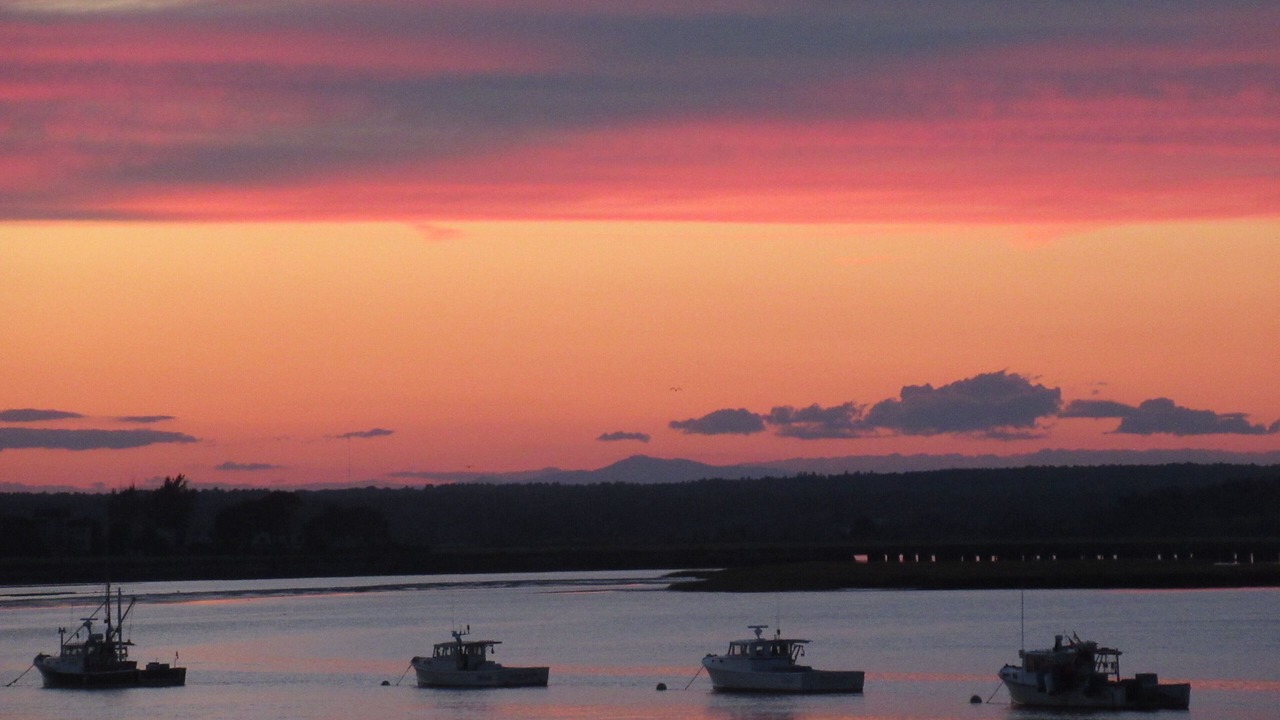 Photo of Others in Scarborough