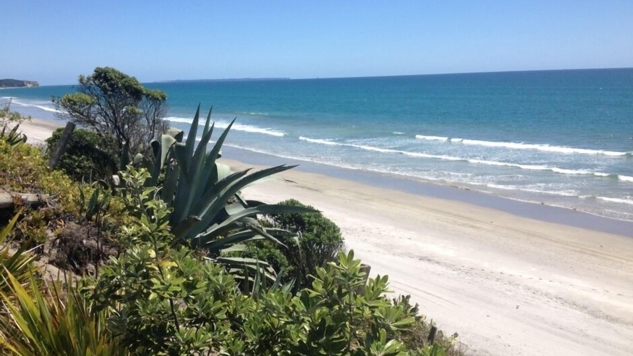 Photo of Others in Pukehina