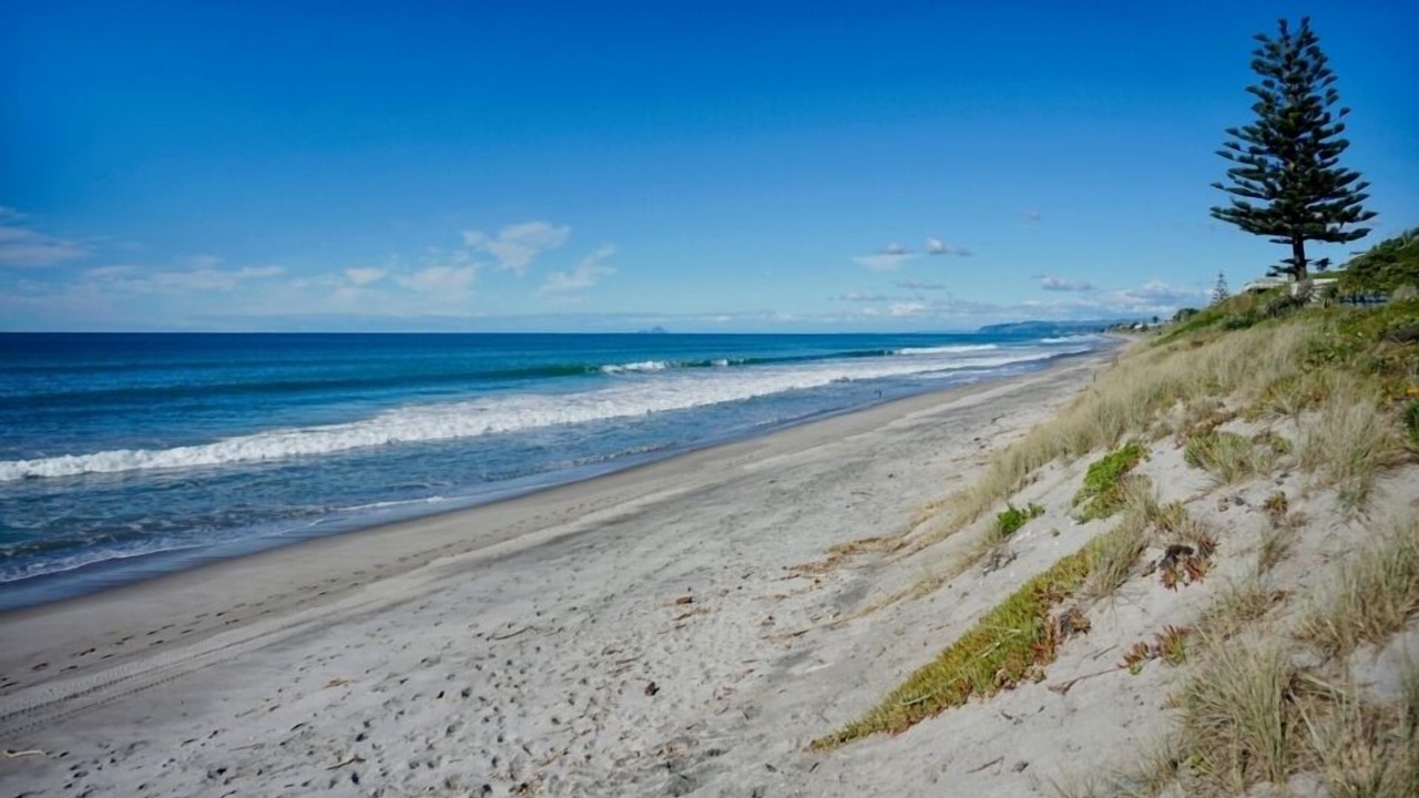 Photo of Others in Pukehina