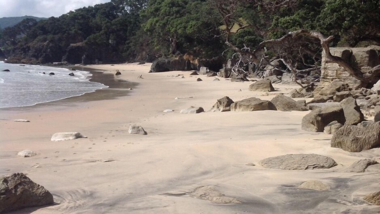 Photo of Others in Langs Beach