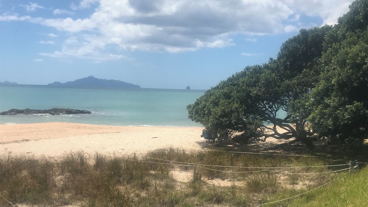 Photo of Others in Langs Beach