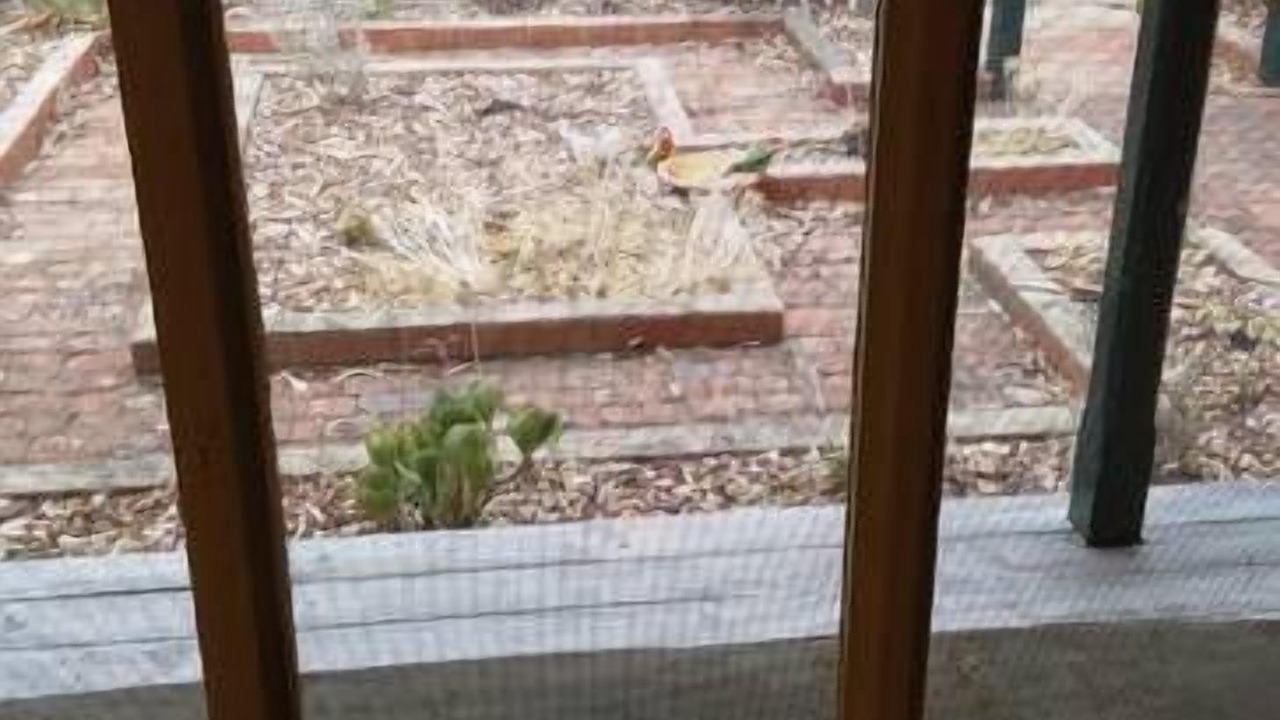 Photo of Others in Strathfieldsaye