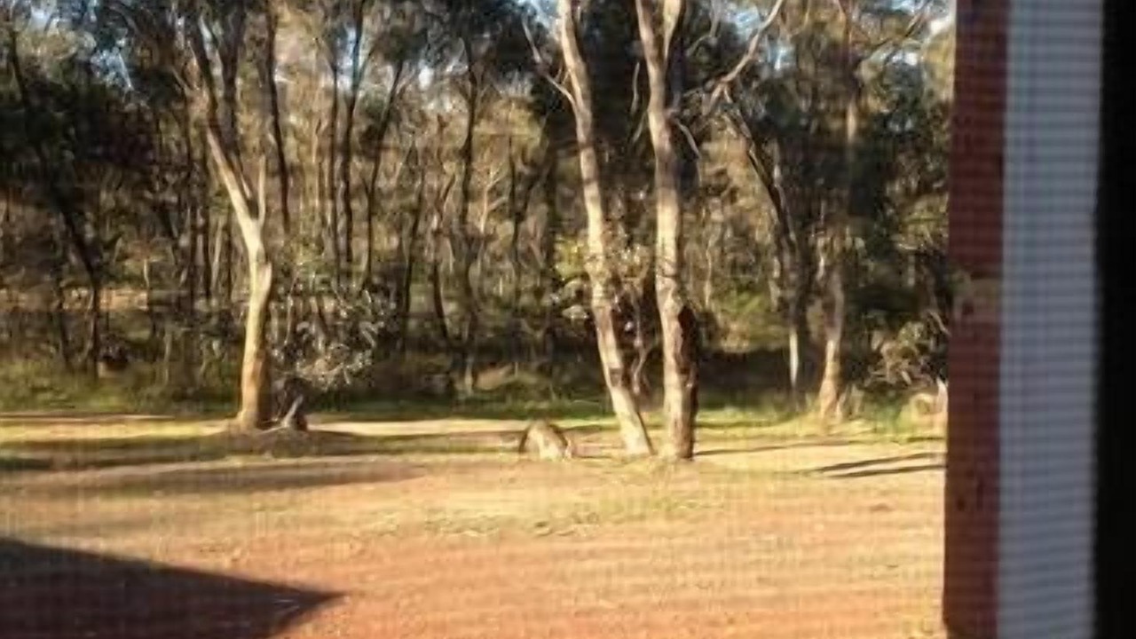 Photo of Others in Strathfieldsaye