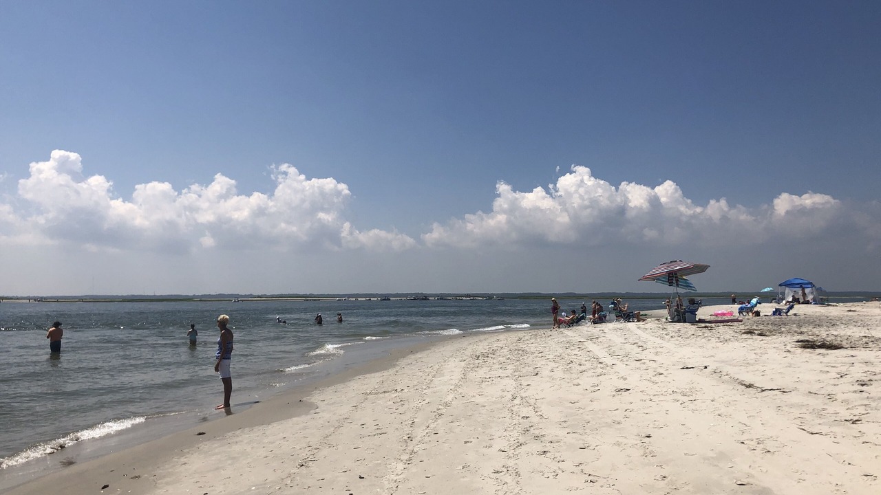 Photo of Others in Townsend's Inlet