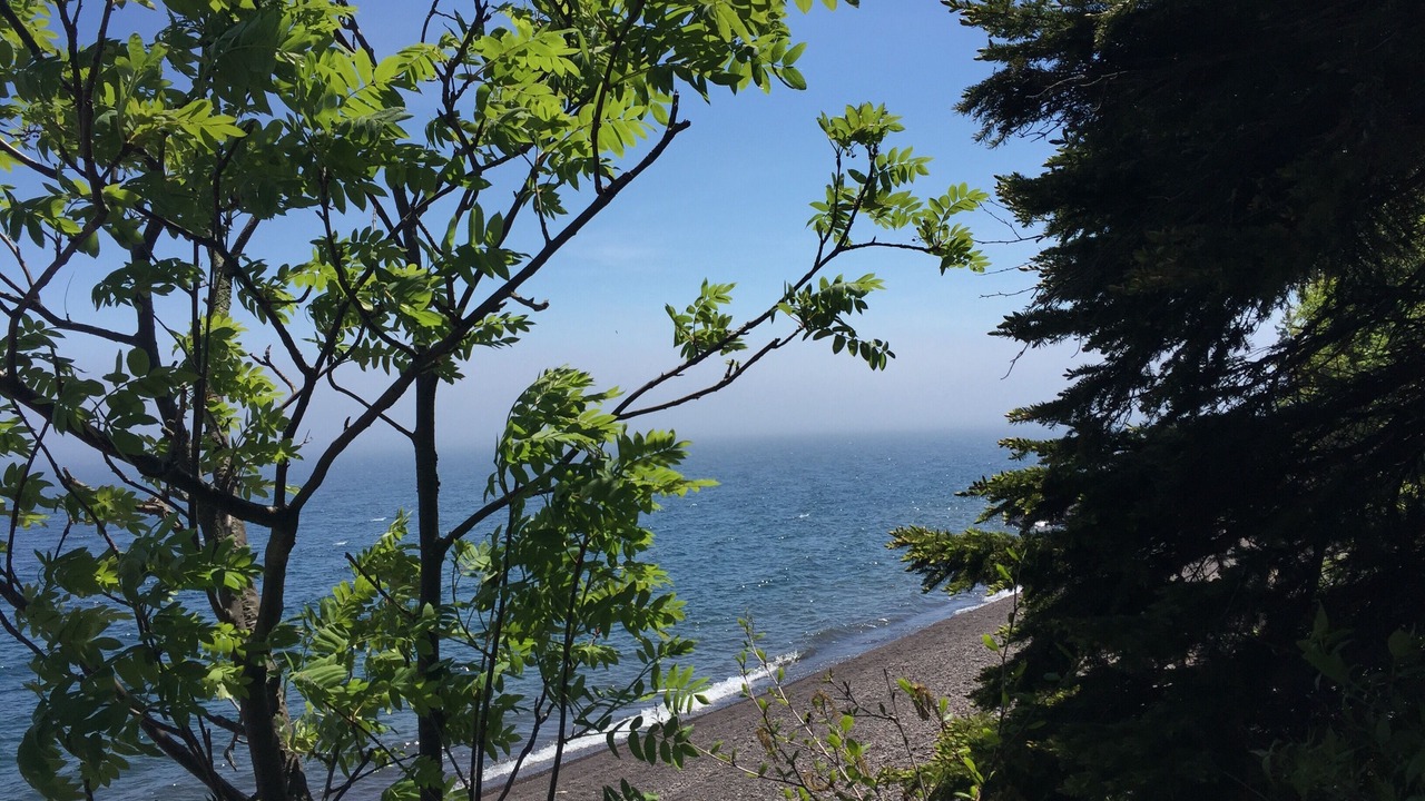 Photo of Others in Two Harbors
