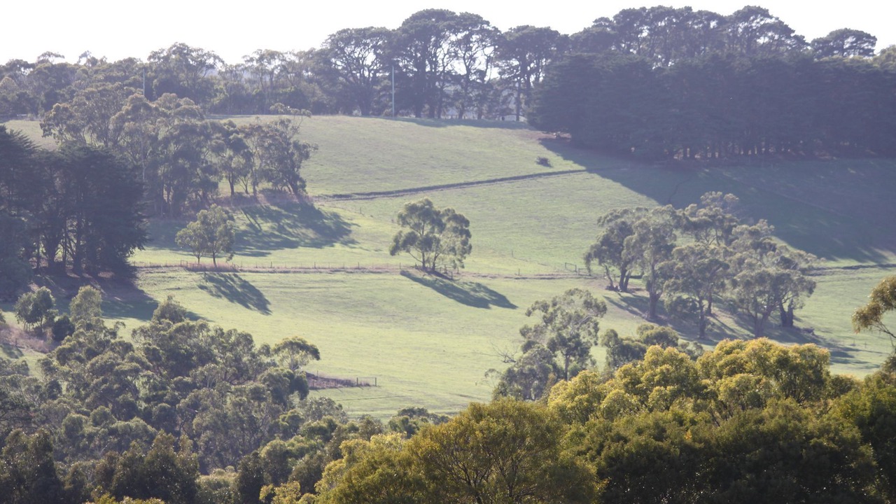 Photo of Outdoor in Shoreham