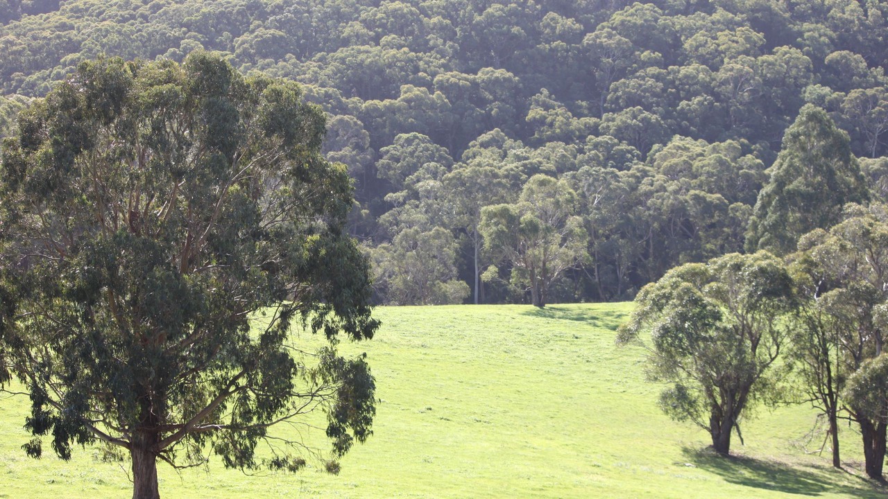Photo of Others in Shoreham