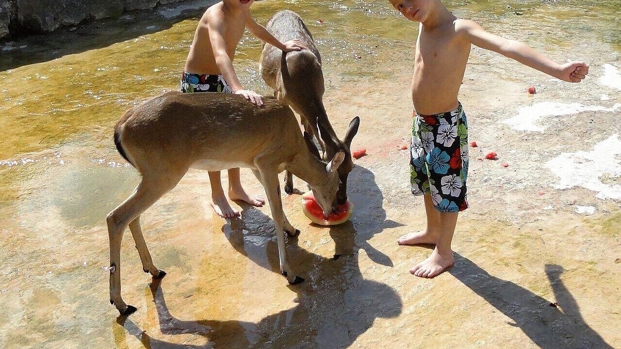 Photo of Others in Rio Frio