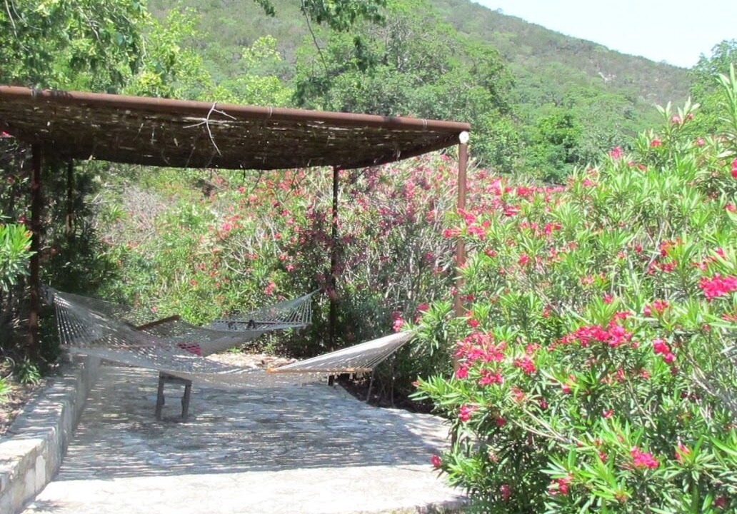 Photo of Outdoor in Rio Frio