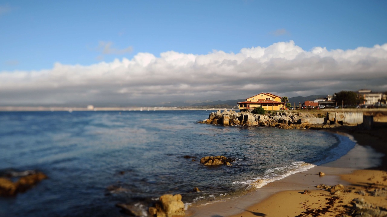 Photo of Others in Pacific Grove