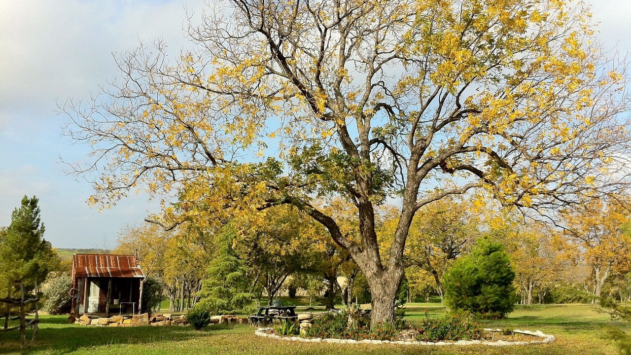 Photo of Outdoor in Ennis