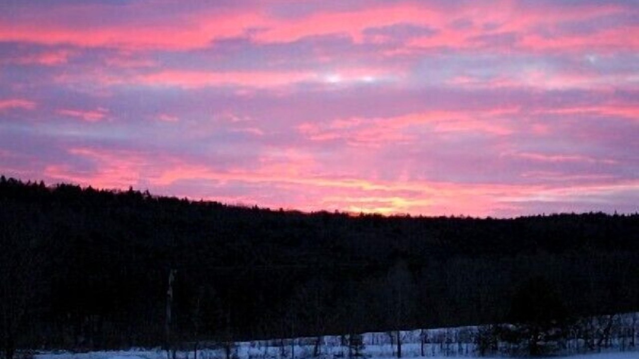 Photo of Others in Rockingham