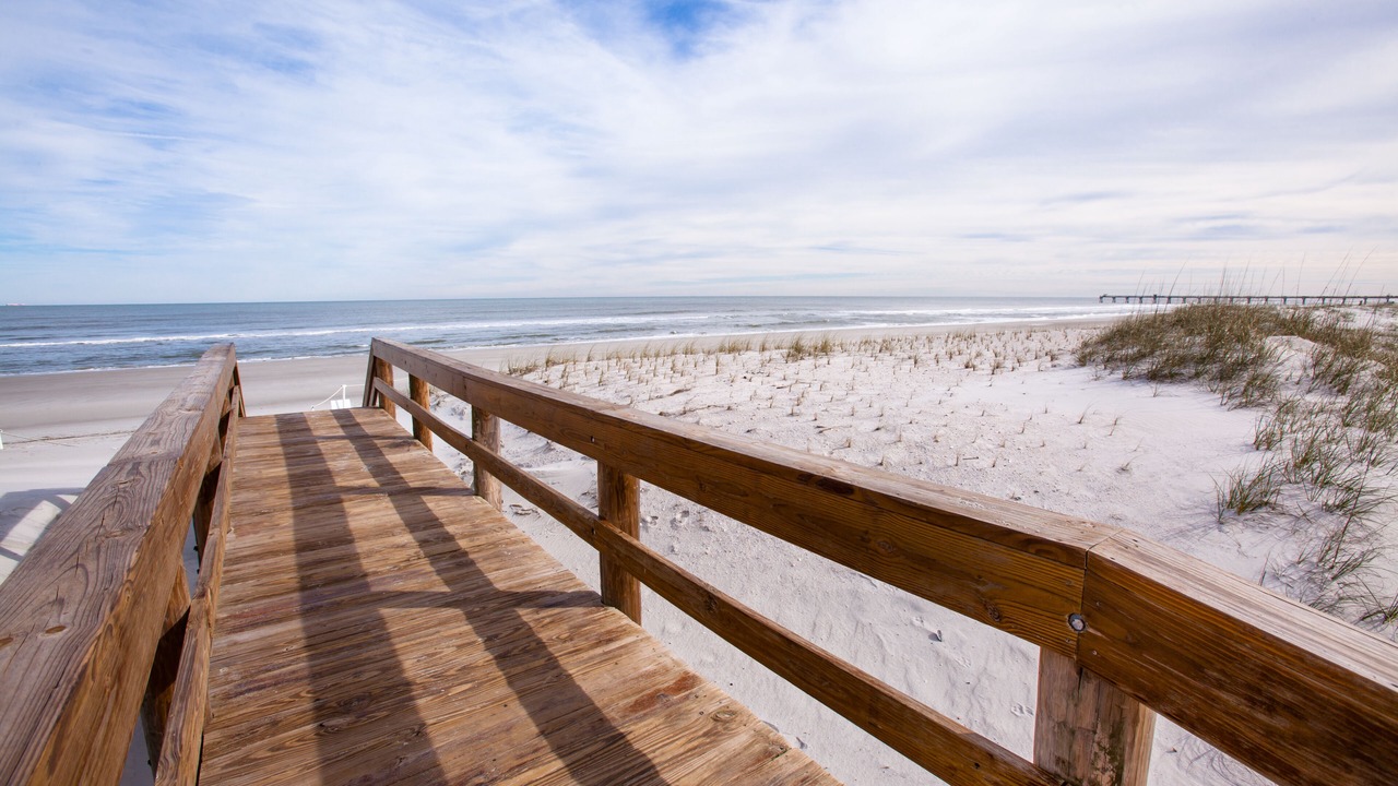 Photo of Others in Jacksonville Beach
