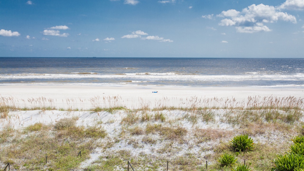 Photo of Others in Jacksonville Beach