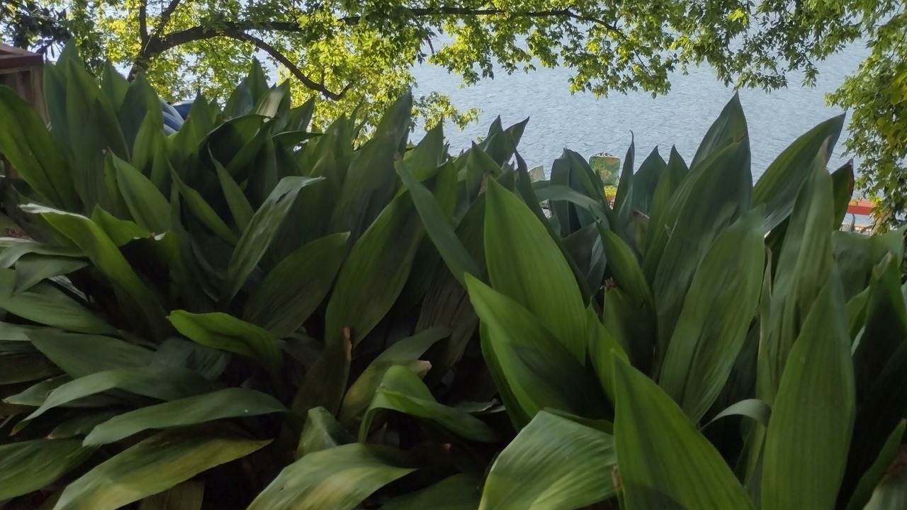 Photo of Outdoor in Rio Robles