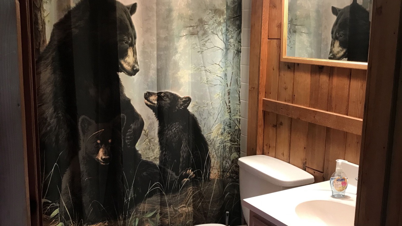 Photo of Bathroom in Hunter