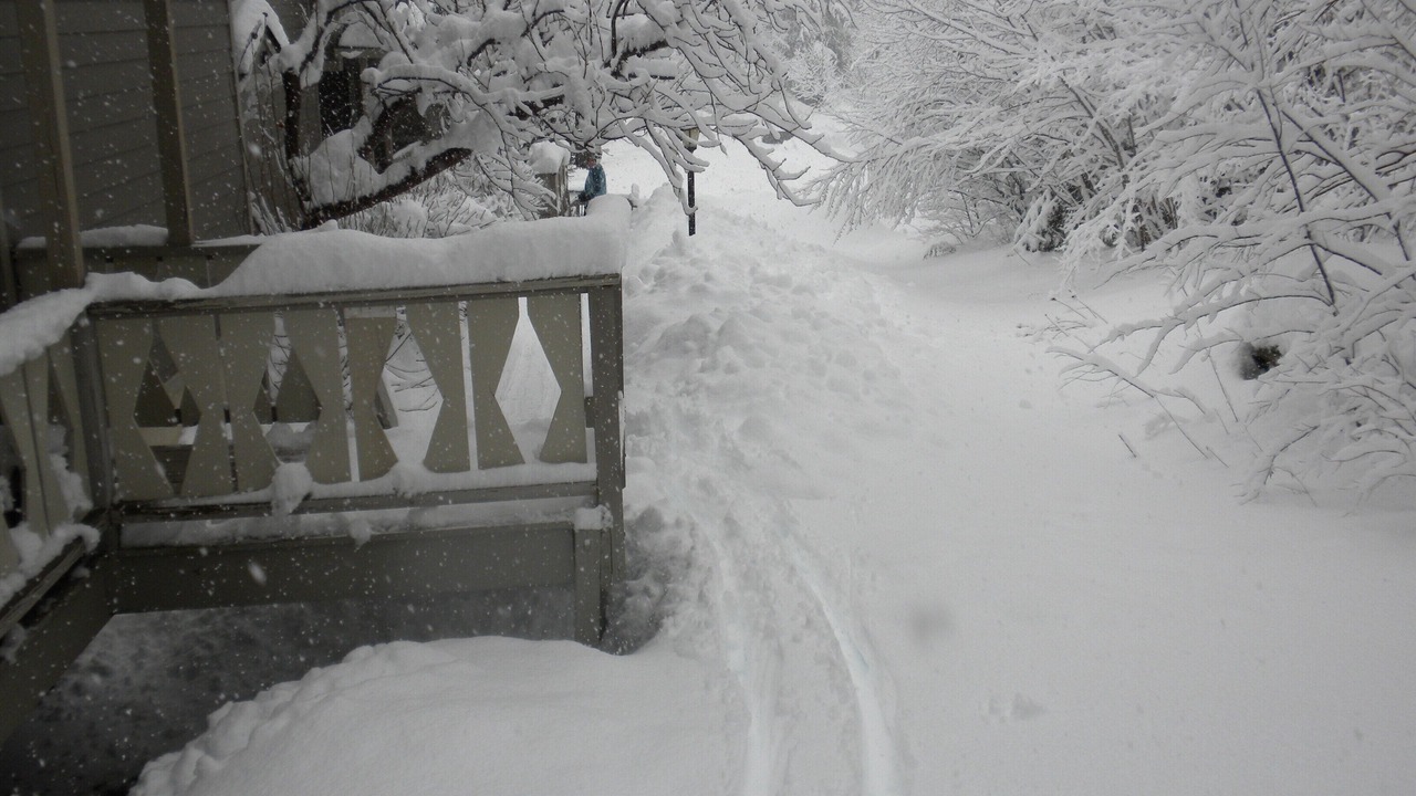 Photo of Outdoor in Hunter