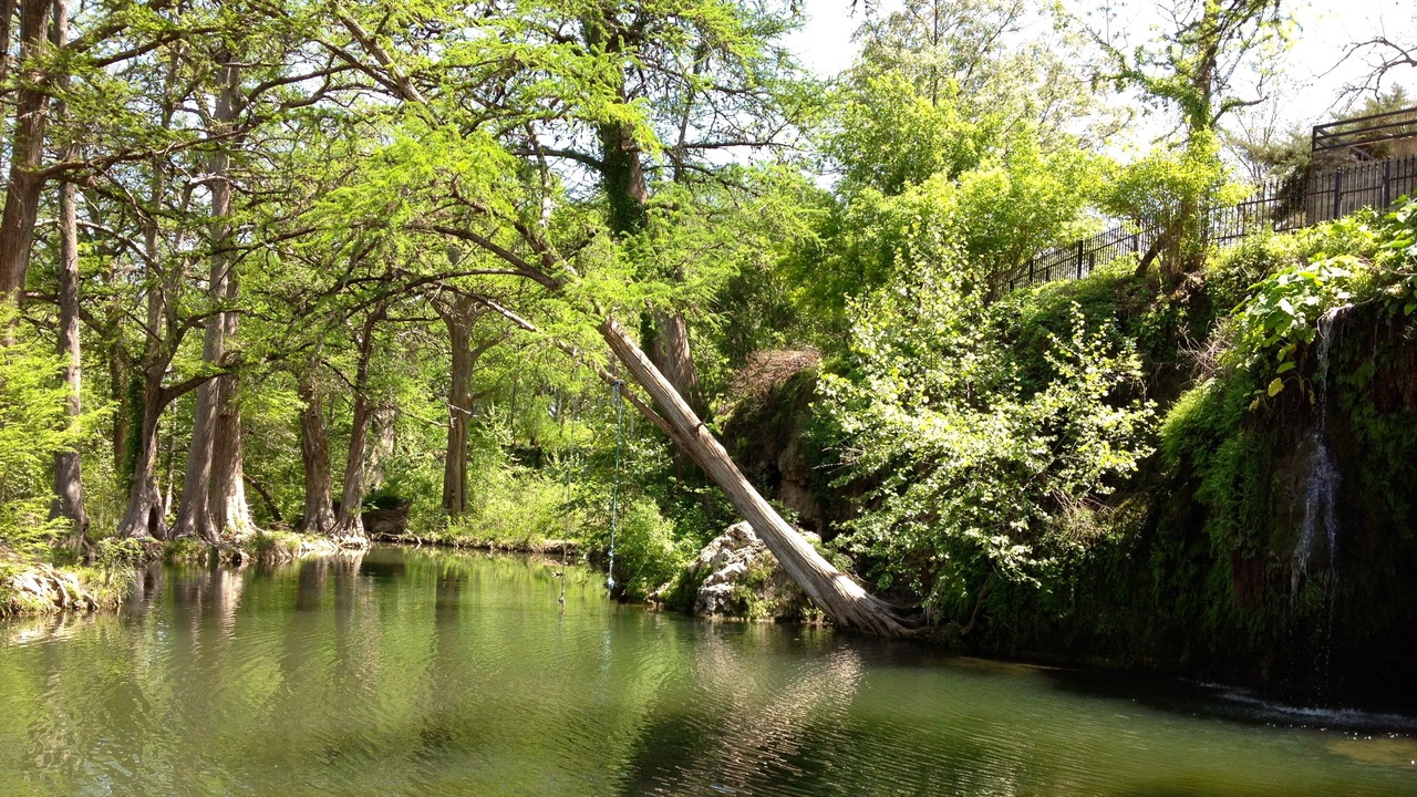 Photo of Others in Mouth Of Pedernales