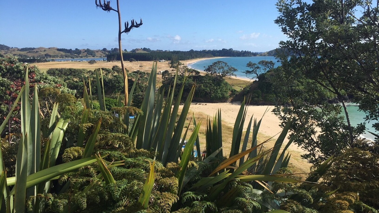 Photo of Others in Matapouri