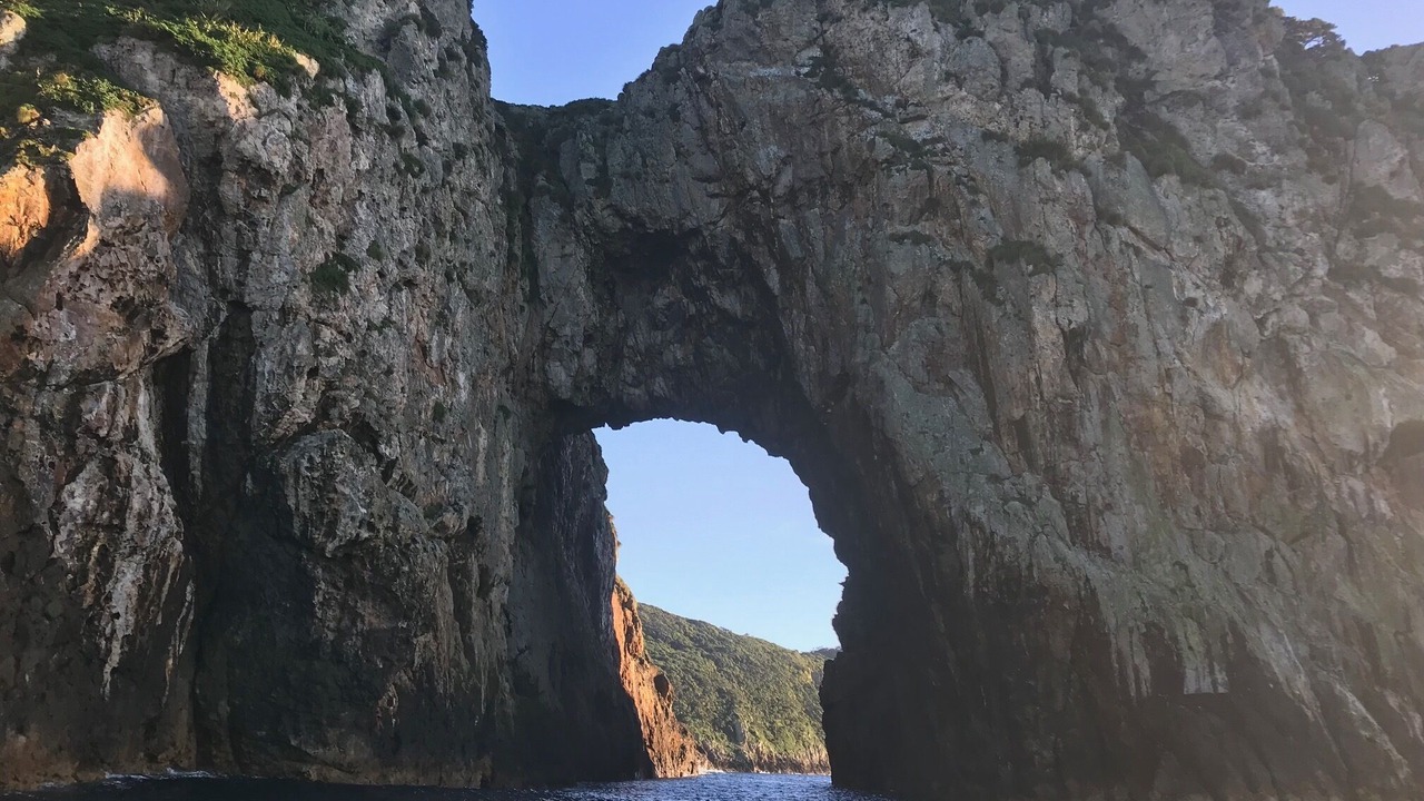 Photo of Others in Matapouri