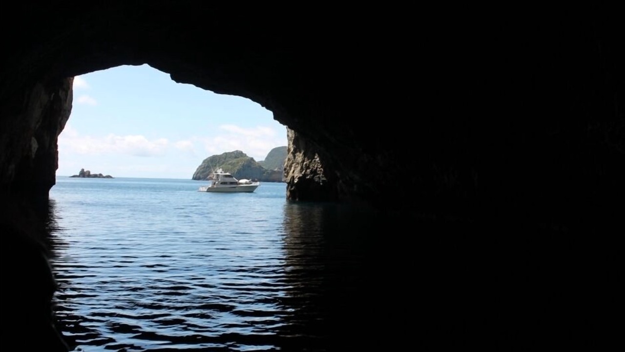 Photo of Others in Matapouri