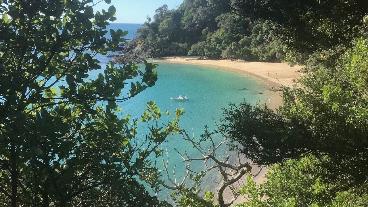 Photo of Others in Matapouri