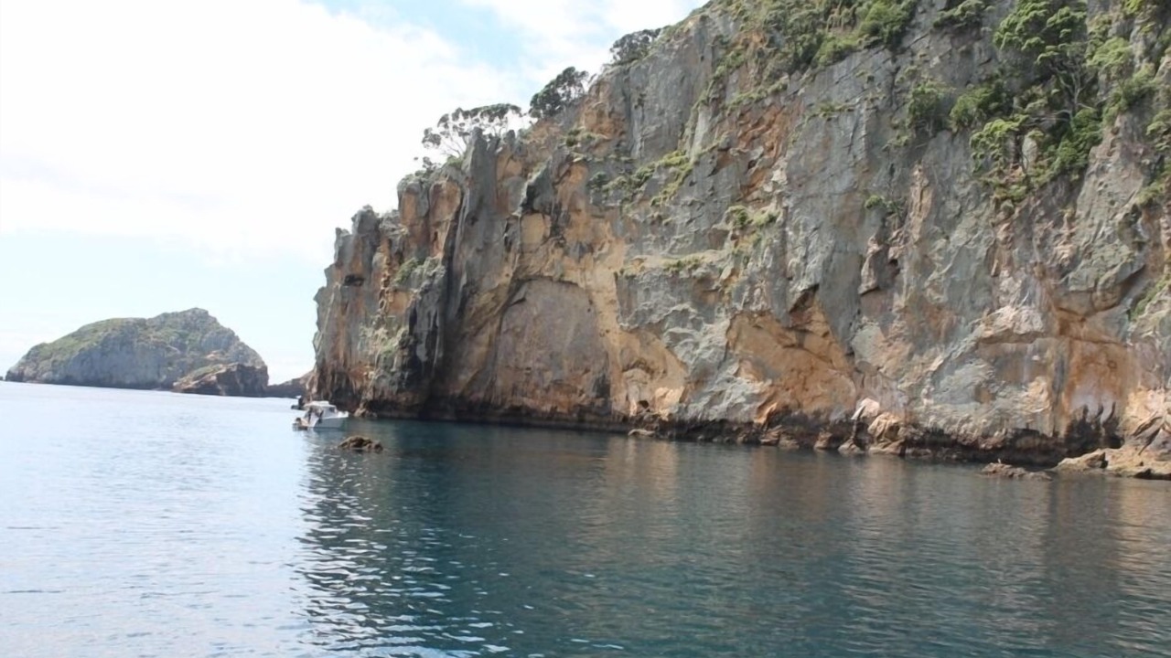 Photo of Others in Matapouri