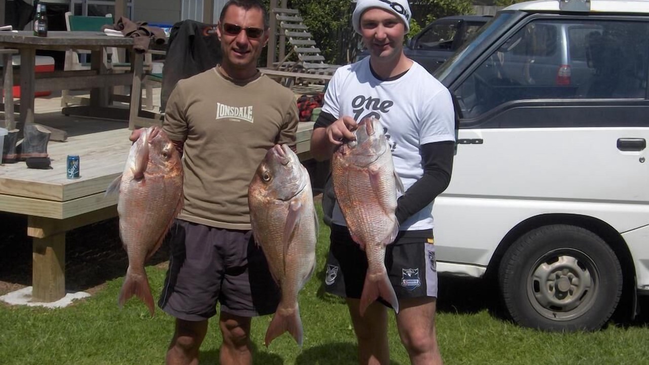 Photo of Others in Matapouri