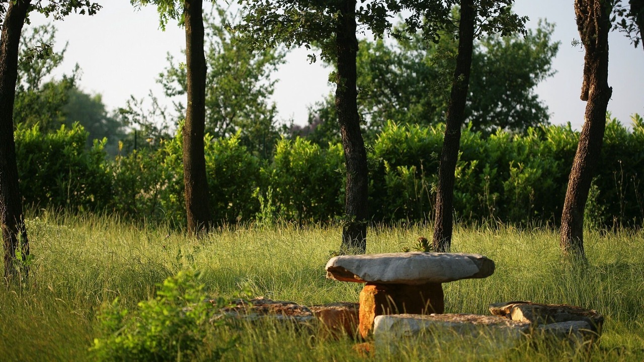 Photo of Outdoor in Karigador