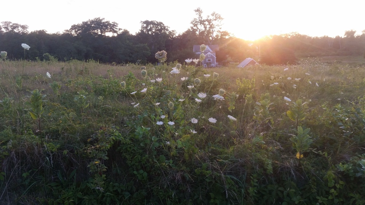 Photo of Others in Eastham