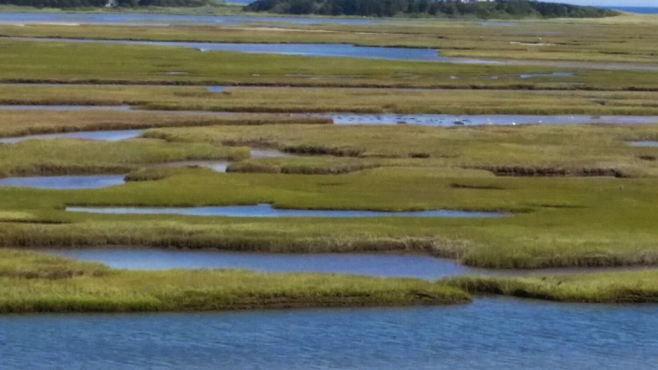 Photo of Others in Eastham