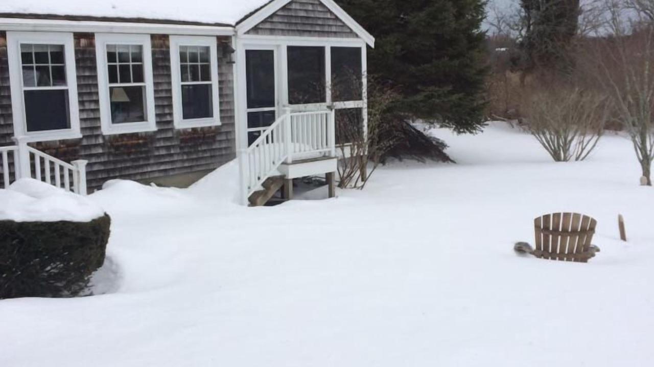 Photo of Others in Eastham