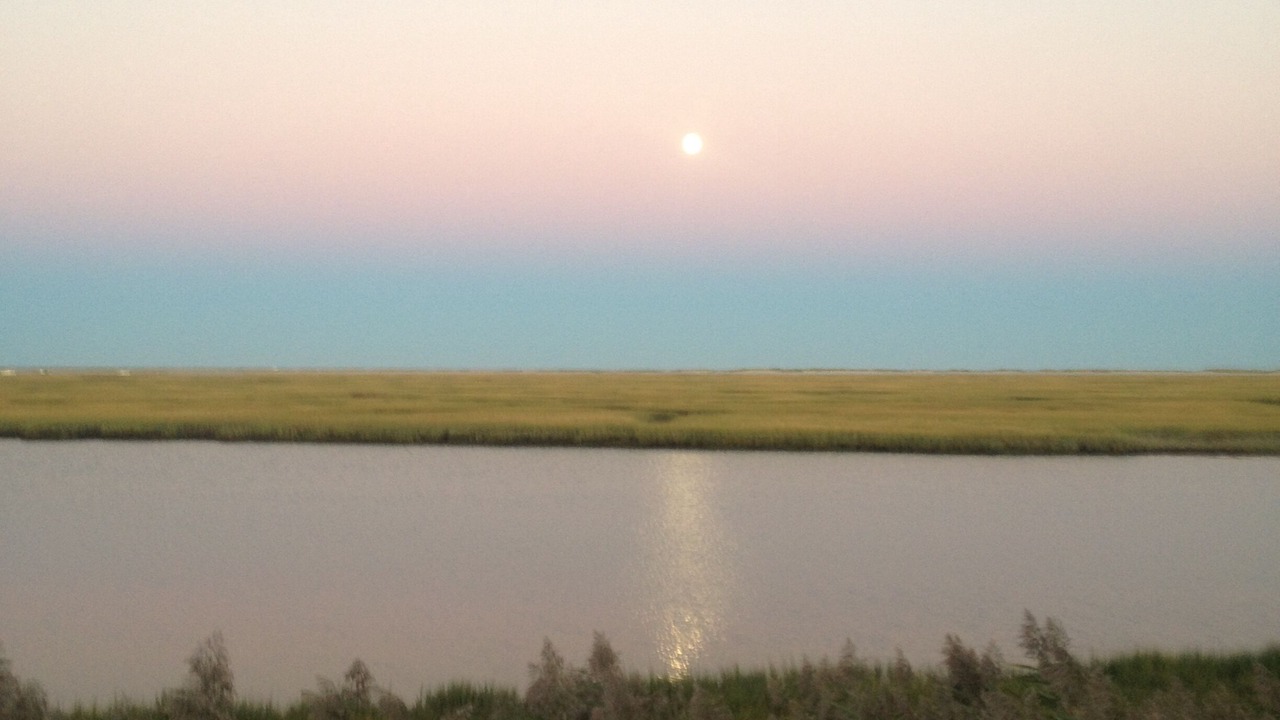 Photo of Others in Eastham