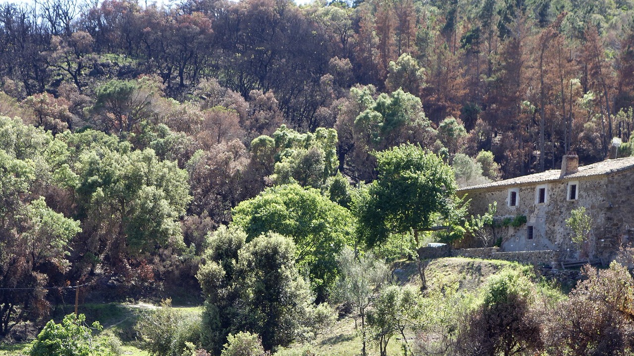 Photo of Others in Vall-Llobrega